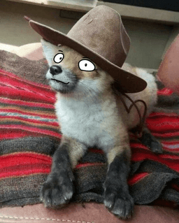 Cowfox