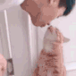 Cat kisses