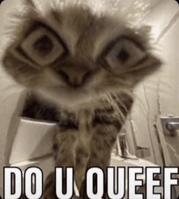 queef