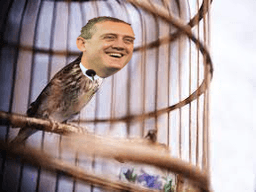 Bullard_Bird_Cage