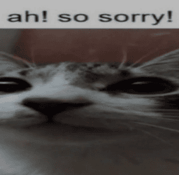 ah so sorry