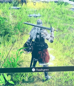 touch grass