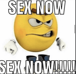 sex now!!!