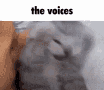 the voices