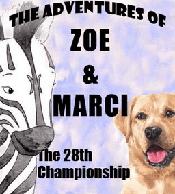 the adventures of zoe marci