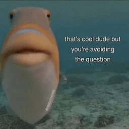 ft_avoidquestion