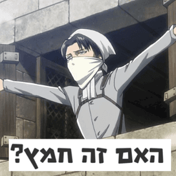 לכו לנקות לפסח