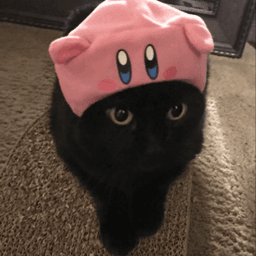 kirby cat