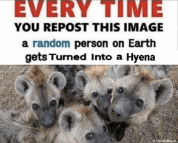 become yeen