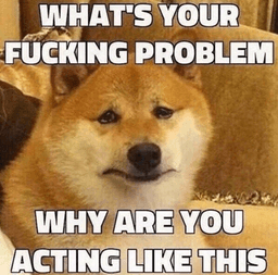 what's your fucking problem 