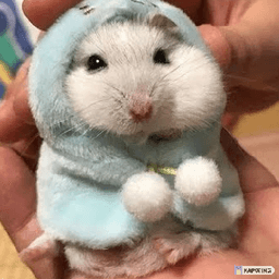 Cuter