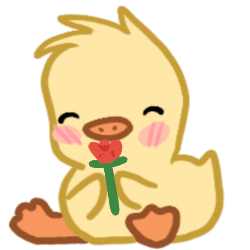 ducky rose