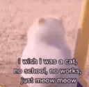 AL_cat