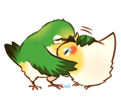 bird_comfort