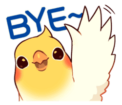 bird_bye