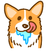 Corgi drool