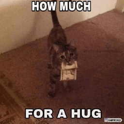 How much for a hug (▰˘︹˘▰)