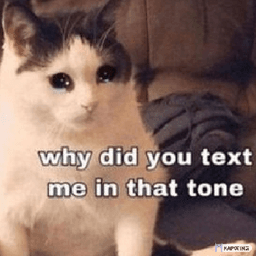 why did u text me in that tone