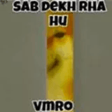 Sab dekh raha hu