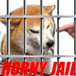 horny jail