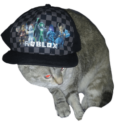 roblox cat echo