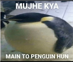 muje kya? mein penguin hu