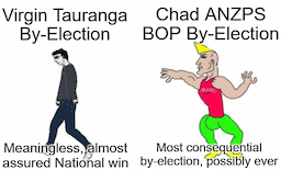 ANZPS by-elections are better