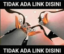 Tidak ada bokep