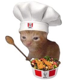 cat chef