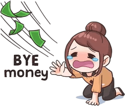 Bye money