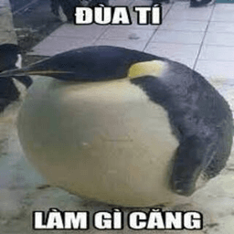 làm gì căng