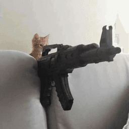 KItten Gun