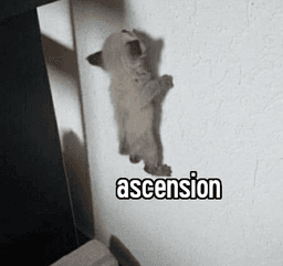 ascension