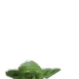 Yoda Snoop