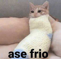 FRIO