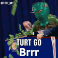 TURT GO BRR