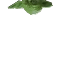 Yoda Snoop Top