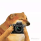 4k