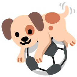 Puppy Ball