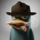 realistic perry