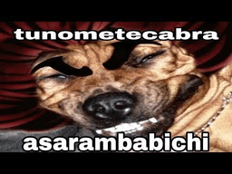 Tunometecabrasarambabiche