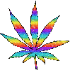 rainbow_weed