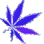 weed_neon_spin