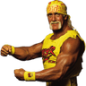 hogan hogan