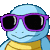 CoolSquirtle