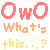 owowhatsthis