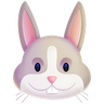 Rabbit_Face
