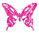 butterflysparkle