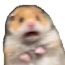 Hamsterspooked