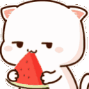 catwatermelon